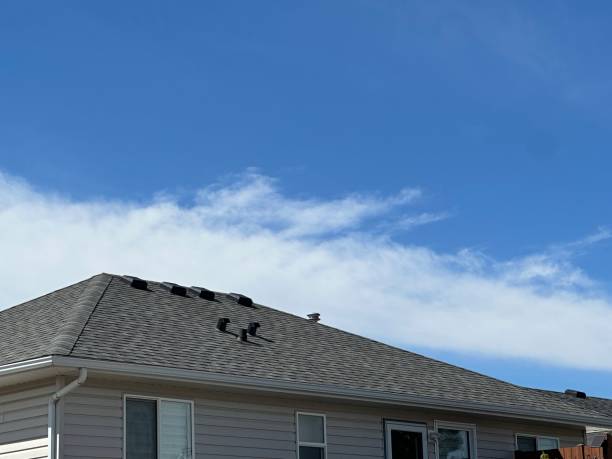 Trusted Mcgraw, NY Roofing service Experts